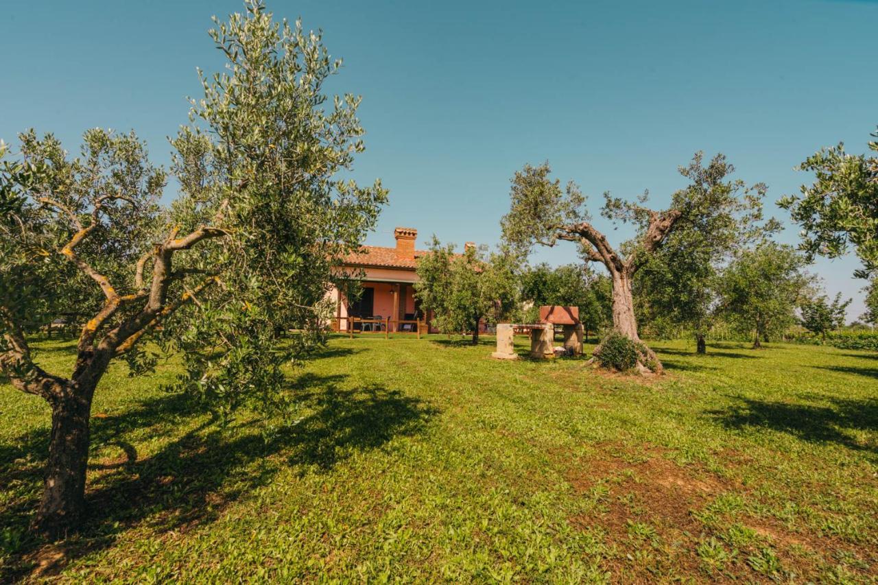 Alojamento de Turismo Rural Il Laghetto *